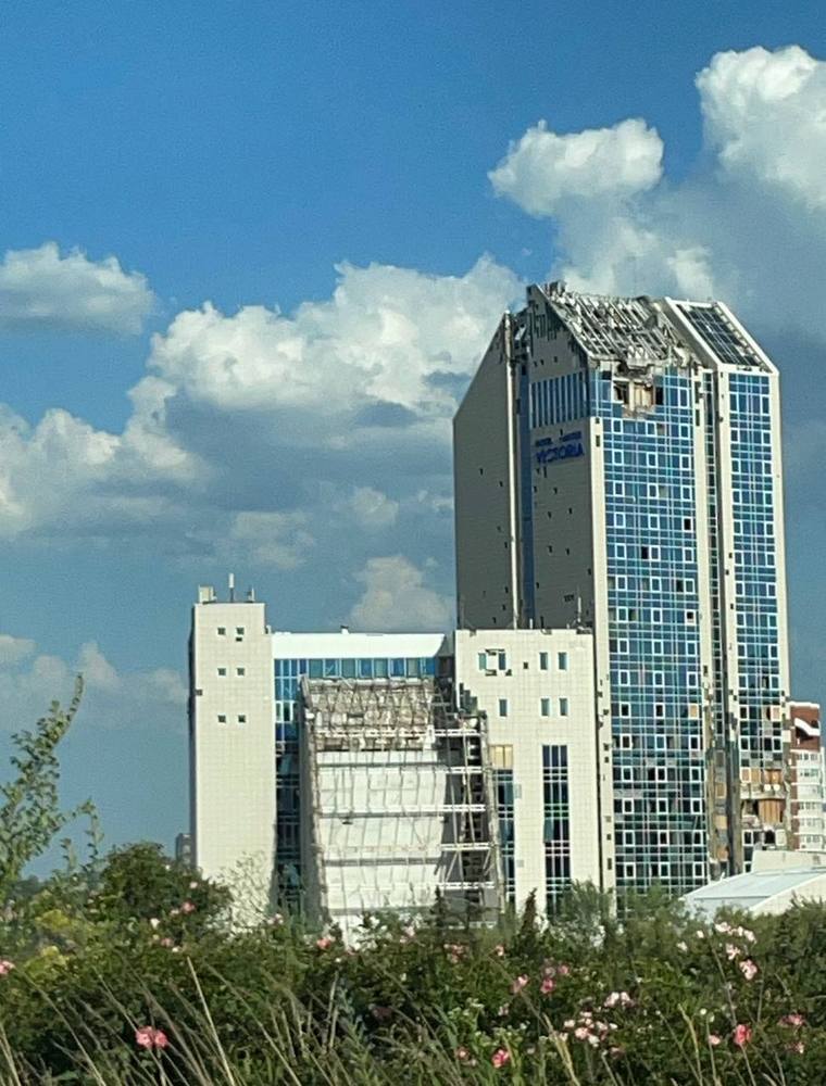 dnr_3.jpg